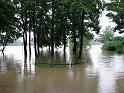 Hochwasser (75)